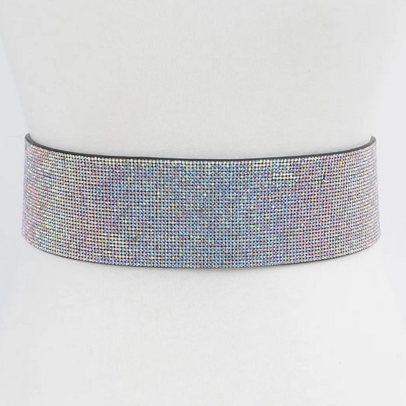 The Iris Rhinestone Waist Belt - Picture 4 of 4